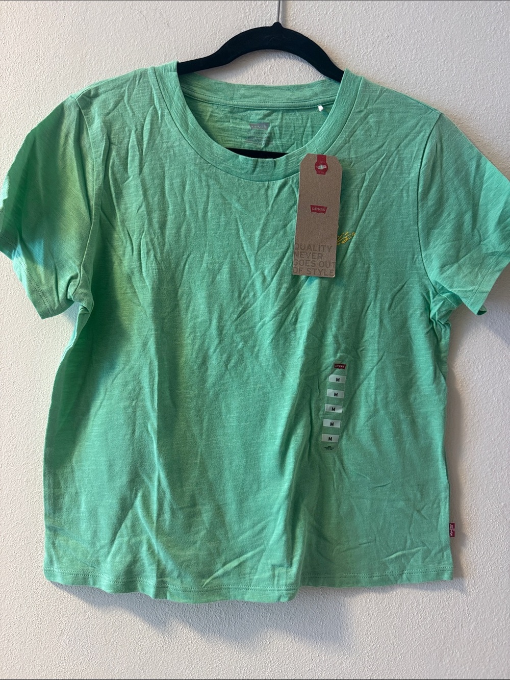 Levi's Kids Short Sleeve Tee in Mint Green